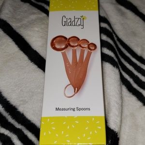 Giadzy measuring spoons